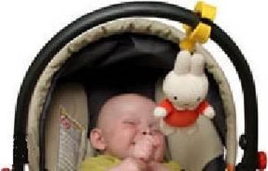 Nijntje Buggy Speeltje