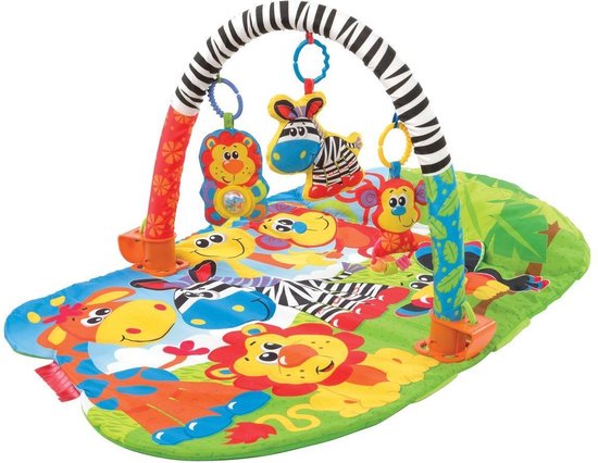 5 in 1 Safari Super Gym